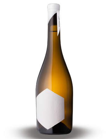 Case RAW Savagnin 2017
