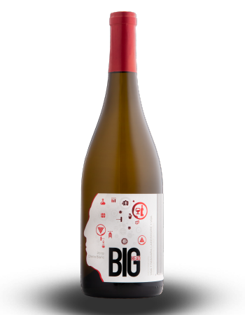 2019 Chenin Blanc