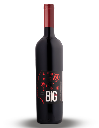 Case Malbec Select 2019