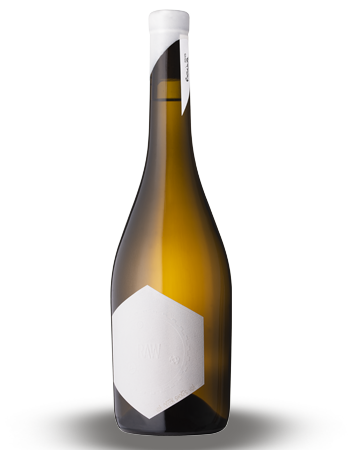 Case RAW Riesling 2019