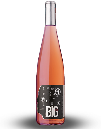 Case Pinot Gris Select 2020