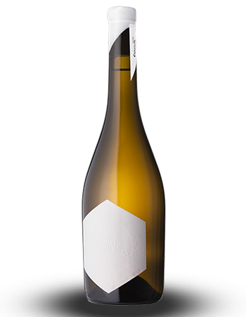 Case RAW Riesling 2023