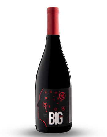 Case Syrah Select 2020