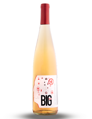 Case Pinot Gris 2021