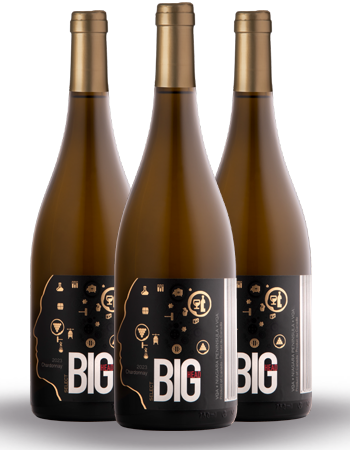 2023 Chardonnay Select Half Case Sale