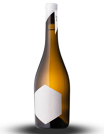2023 RAW Riesling