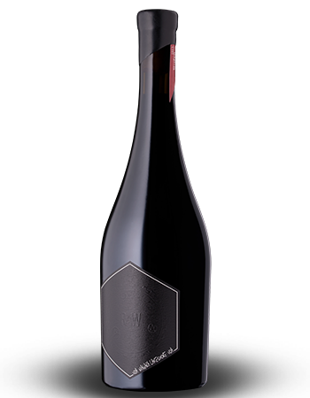 Case RAW Syrah 2023