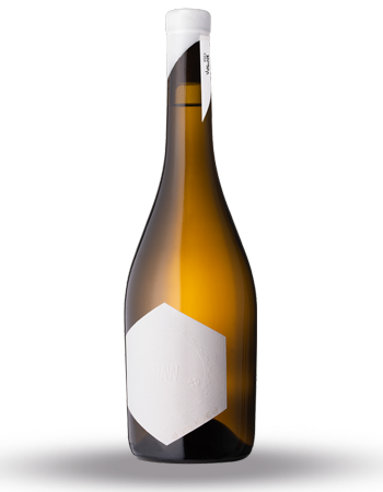 Case RAW Viognier 2023