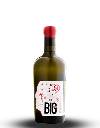 Case Savagnin 2024
