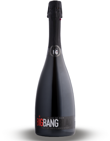 Case Big Bang Black NV