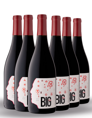 2023 Syrah Half Case Sale