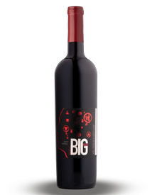 Case Malbec Select 2019