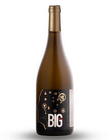 Case Chardonnay Select 2023