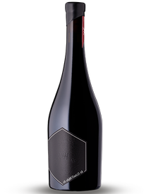 Case RAW Merlot 2020