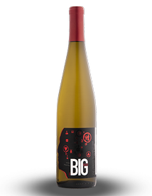 Case Riesling Dry 2020