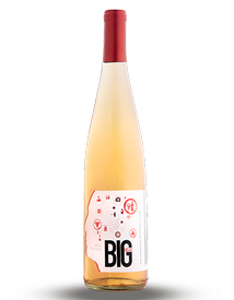 Case Pinot Gris 2021