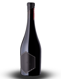 Case RAW Malbec 2023