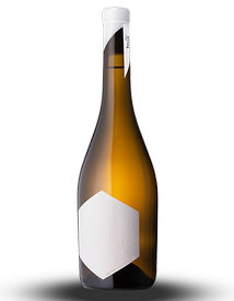 2023 RAW Riesling