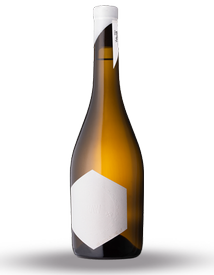 Case RAW Viognier 2023