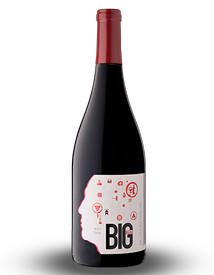 Case Syrah 2023