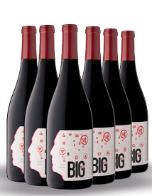 2023 Syrah Half Case Sale