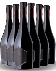 2019 RAW Pinot Noir Half Case Sale