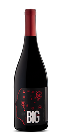 2019 Syrah Select